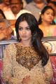 Catherine Tresa @ Errabus Movie Audio Launch Stills