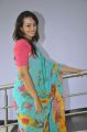 Ester Noronha Saree Stills @ Veyyi Abaddalu Success Meet