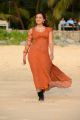 Ester Noronha Hot Pictures in Moderate Orange Color Dress