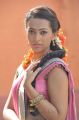 Actress Ester Noronha Hot in Saree Images in 1000 Abaddalu