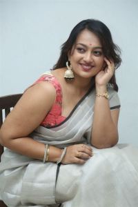 Tenant Movie Heroine Ester Noronha New Saree Pics