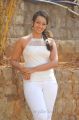 Telugu Actress Esther Noronha Latest Cute Images