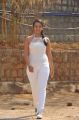 Telugu Heroine Esther Noronha Latest Stills