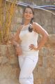 Telugu Actress Ester Noronha Latest Stills