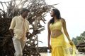 Ethir Neechal Movie Velicha Poove Song Andaman Islands Photos