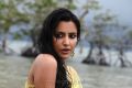 Actress Priya Anand in Ethir Neechal Movie Photos