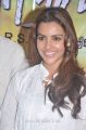 Actress Priya Anand at Ethir Neechal Movie Press Meet Stills