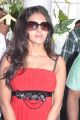 Actress Priyadarshini Hot Stills at Ethiriyai Vel Movie Launch