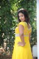 Actress Pragnya @ Evariki Evaru Telugu Movie Opening Stills