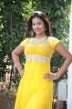 Actress Pragnya @ Evariki Evaru Telugu Movie Opening Stills