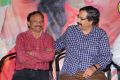 Yevaro Thanevaro Movie Audio Launch Stills