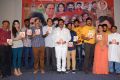 Evaro Thanevaro Movie Audio Launch Stills