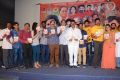 Yevaro Thanevaro Movie Audio Launch Stills