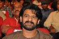 Actor Prabhas @ Express Raja Movie Audio Launch Stills