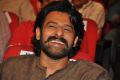 Actor Prabhas @ Express Raja Movie Audio Launch Stills