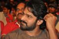 Actor Prabhas @ Express Raja Movie Audio Launch Stills