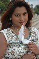 Farah Khan Hot Photos Stills