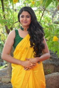 Ravanasura Movie Actress Faria Abdullah Saree Pics