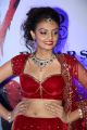 Actress Nikitha Narayan @ Fashionology Fashion Show 2013 Photos