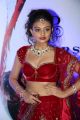 Actress Nikitha Narayan @ Fashionology Fashion Show 2013 Photos