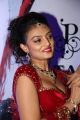 Actress Nikitha Narayan @ Fashionology Fashion Show 2013 Photos