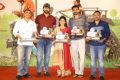 Fidaa Movie 50 Days Sambaralu Event Stills