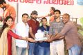 Fidaa Movie 50 Days Celebrations Stills