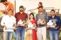 Fidaa Movie 50 Days Sambaralu Event Stills