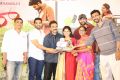 Fidaa Movie 50 Days Sambaralu Event Stills