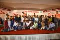 Fidaa Movie 50 Days Celebrations Stills