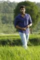 Actor Varun Tej in Fidaa Movie Stills