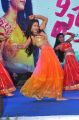 Shreya Vyas @ Fidaa Success Celebrations at Nizamabad Photos
