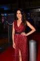 Actress Pragya Jaiswal @ Filmfare Awards South 2017 Red Carpet Images