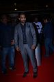 Actor Jr NTR @ Filmfare Awards South 2017 Red Carpet Images