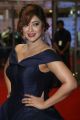 Actress Payal Ghosh @ Filmfare Awards South 2017 Red Carpet Images