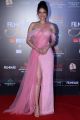 Ankita Lokhande @ Filmfare Glamour & Style Awards 2019 Red Carpet Photos