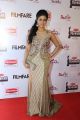 Actress Iniya @ Filmfare Awards South 2015 Red Carpet Stills