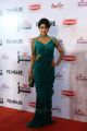 Actress Shriya Saran @ Filmfare Awards South 2015 Red Carpet Stills