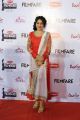 Anchor Ramya @ Filmfare Awards South 2015 Red Carpet Stills
