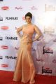 Raai Laxmi @ Filmfare Awards South 2015 Red Carpet Stills