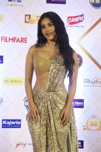 Actress Nabha Natesh @ Filmfare Awards South 2024 Red Carpet Photos