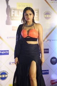 Filmfare Awards South 2024 Red Carpet Photos