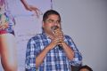 Madhura Sreedhar Reddy @ First Love Movie Audio Launch Photos