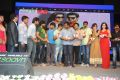 Gaalipatam Movie Audio Launch Stills