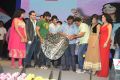 Gaalipatam Movie Audio Launch Stills