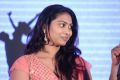 Gaallo Thelinattunde Movie Audio Launch Stills