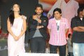 Gabbar Singh Audio Launch Stills