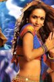 Gabbar Singh Item Song Heroine Malaika Arora Hot Stills