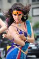 Item Girl Gabriela Bertante Hot Pics in DCM telugu movie