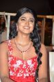 Actress Dimple Hayathi @ Gaddala Konda Ganesh Success Meet at Vizag Photos